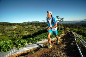 BIB: 
                            <button type="button" onclick="openModal(19114732)" class="btn btn-primary btn-sm float-right btn-popup" data-toggle="modal" data-target=".modal-high-quality">
                        <i class="fas fa-shopping-cart"></i> Add to Cart
                    </button>
                                            <button type="button" onclick="isThisMe(19114732, true)" class="btn btn-success btn-sm float-right btn-popup btn-isme hidden" data-toggle="tooltip" data-placement="bottom" title="นี่คือรูปของคุณใช่ไหม คลิกที่นี่เพื่อเอาเข้าอัลบั้ม">
                        <i class="fas fa-plus"></i> Add to album
                    </button>
                    <button type="button" onclick="isThisMe(19114732, false)" class="btn btn-warning btn-sm float-right btn-popup btn-isnotme hidden">
                        <i class="fas fa-ban"></i> Remove from album
                    </button>